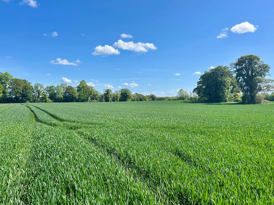 Country Residence For Sale: Rath House, Rathronshin, Ballybrittas, Co. Laois Country Residence For Sale: Rath House, Rathronshin, Ballybrittas, Co. Laois