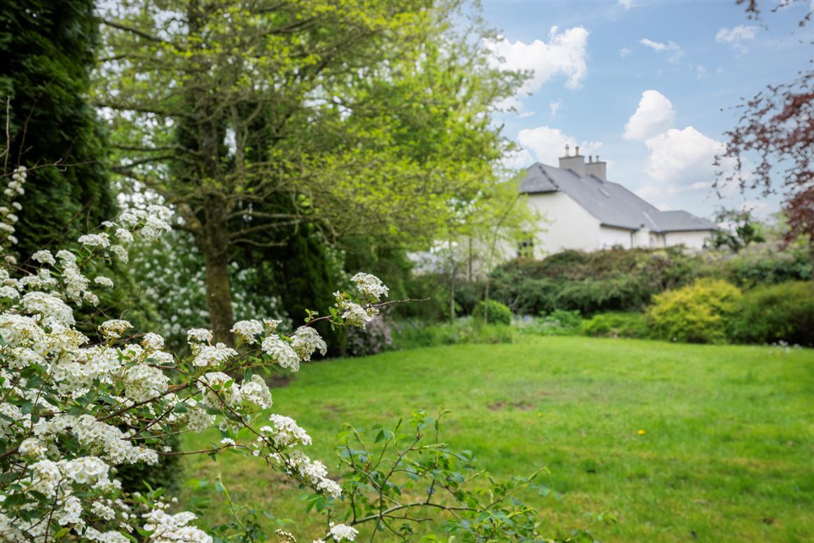 Regency Residence For Sale: Rathduff House, Muine Bheag, Co. Carlow Regency Residence For Sale: Rathduff House, Muine Bheag, Co. Carlow