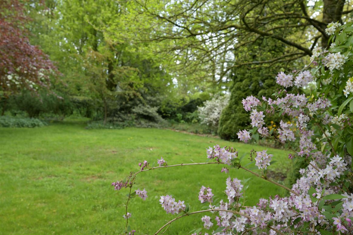 Regency Residence For Sale: Rathduff House, Muine Bheag, Co. Carlow Regency Residence For Sale: Rathduff House, Muine Bheag, Co. Carlow