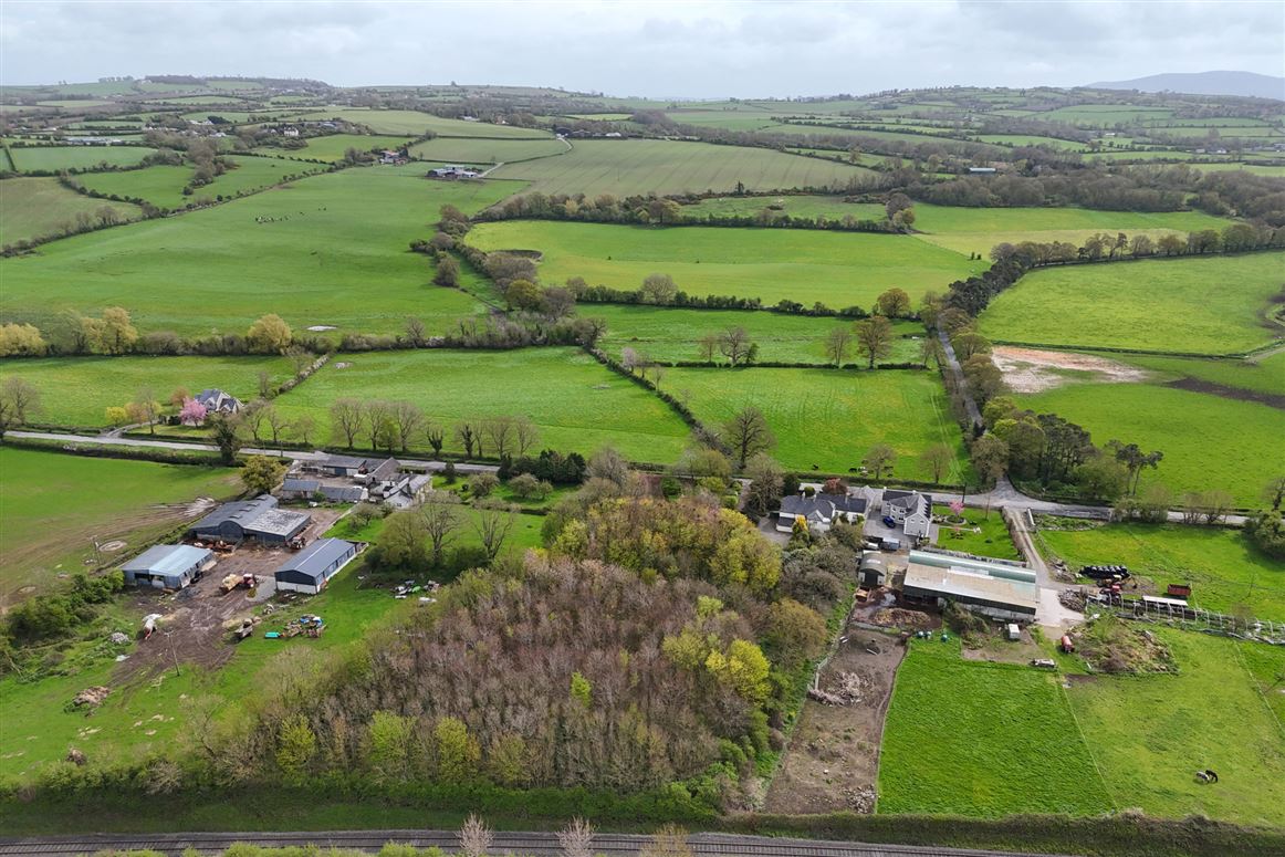 Regency Residence For Sale: Rathduff House, Muine Bheag, Co. Carlow Regency Residence For Sale: Rathduff House, Muine Bheag, Co. Carlow
