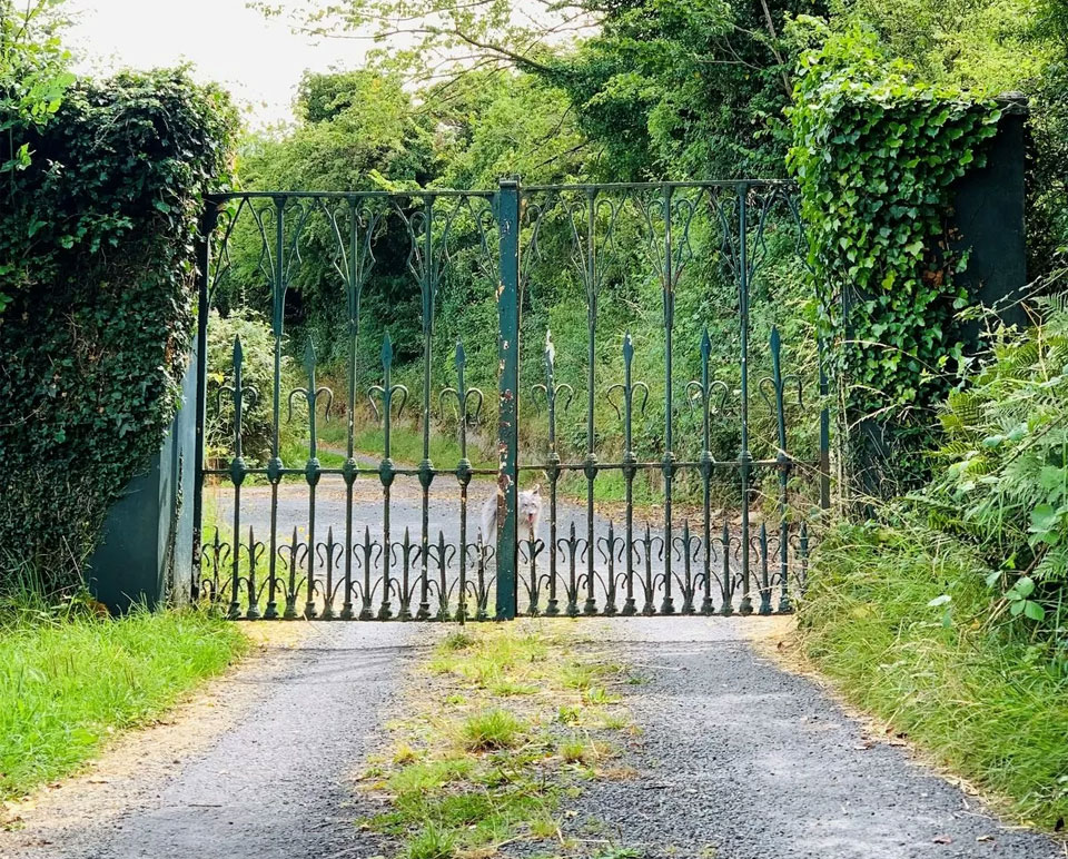 Period Property For Sale: Rayconor Farm, Loughrea, Co. Galway Period Property For Sale: Rayconor Farm, Loughrea, Co. Galway