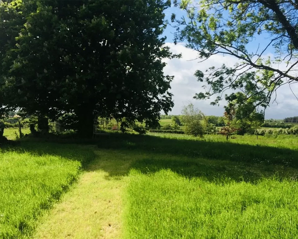 Period Property For Sale: Rayconor Farm, Loughrea, Co. Galway Period Property For Sale: Rayconor Farm, Loughrea, Co. Galway