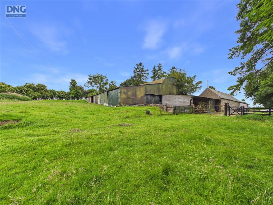 Country Residence For Sale: Ballyoliver House, Ballyoliver, Rathvilly, Co. Carlow