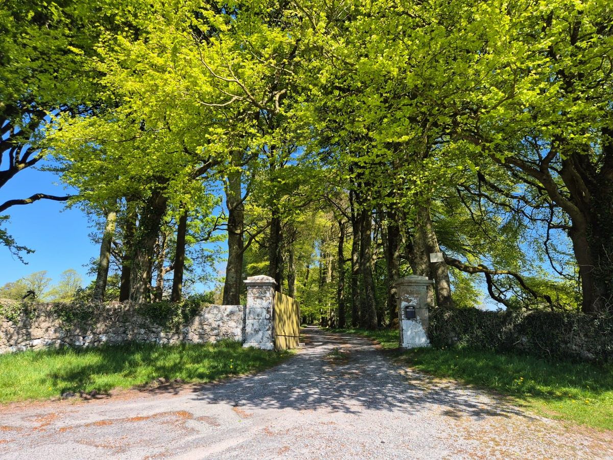 Georgian Estate For Sale: Bermingham House, Bermingham, Tuam, Co. Galway Georgian Estate For Sale: Bermingham House, Bermingham, Tuam, Co. Galway