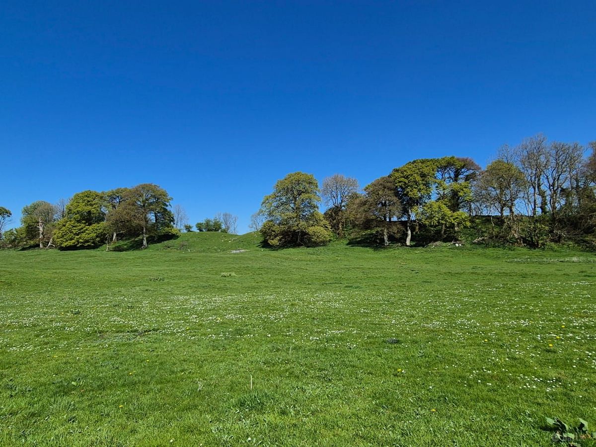 Georgian Estate For Sale: Bermingham House, Bermingham, Tuam, Co. Galway Georgian Estate For Sale: Bermingham House, Bermingham, Tuam, Co. Galway