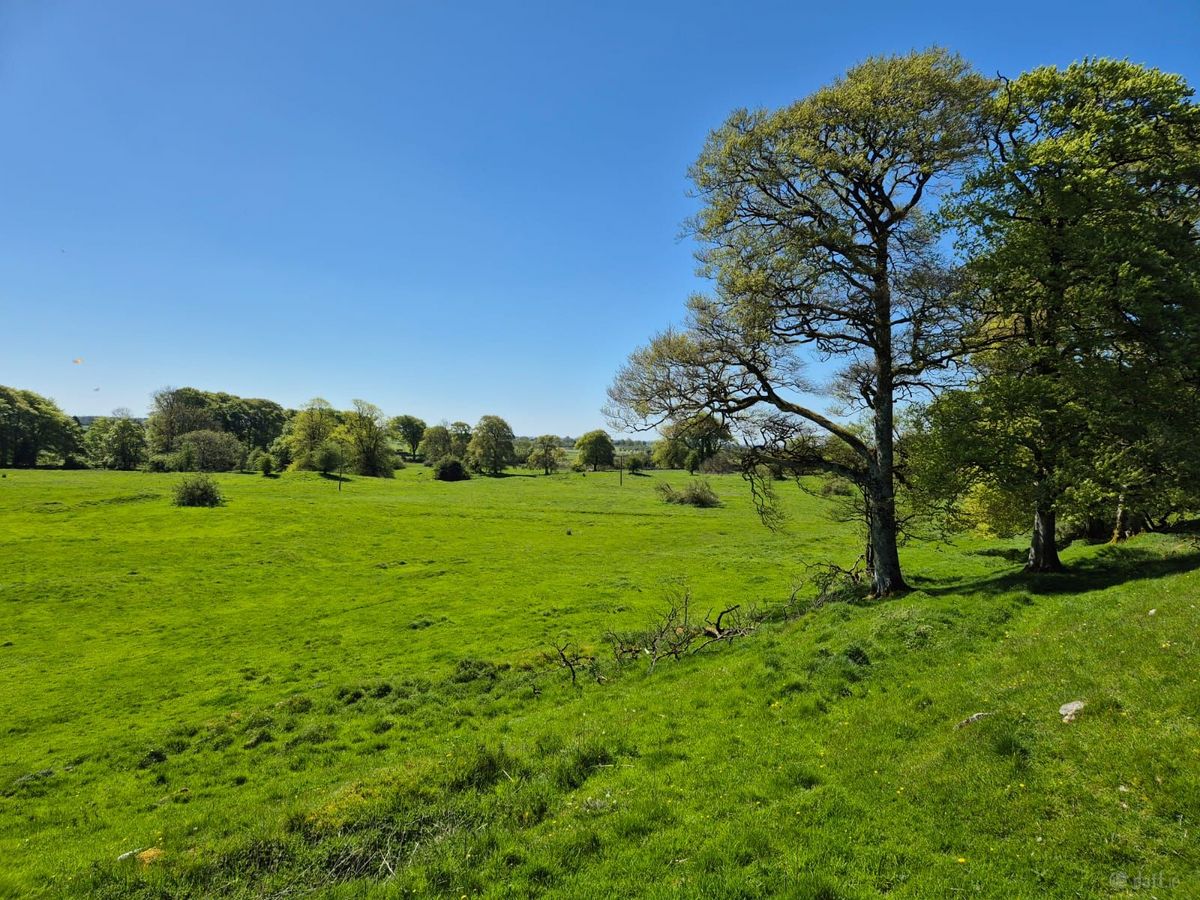 Georgian Estate For Sale: Bermingham House, Bermingham, Tuam, Co. Galway Georgian Estate For Sale: Bermingham House, Bermingham, Tuam, Co. Galway