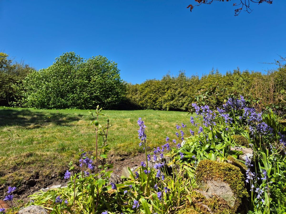 Georgian Estate For Sale: Bermingham House, Bermingham, Tuam, Co. Galway Georgian Estate For Sale: Bermingham House, Bermingham, Tuam, Co. Galway