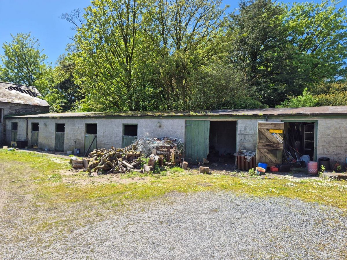 Georgian Estate For Sale: Bermingham House, Bermingham, Tuam, Co. Galway Georgian Estate For Sale: Bermingham House, Bermingham, Tuam, Co. Galway