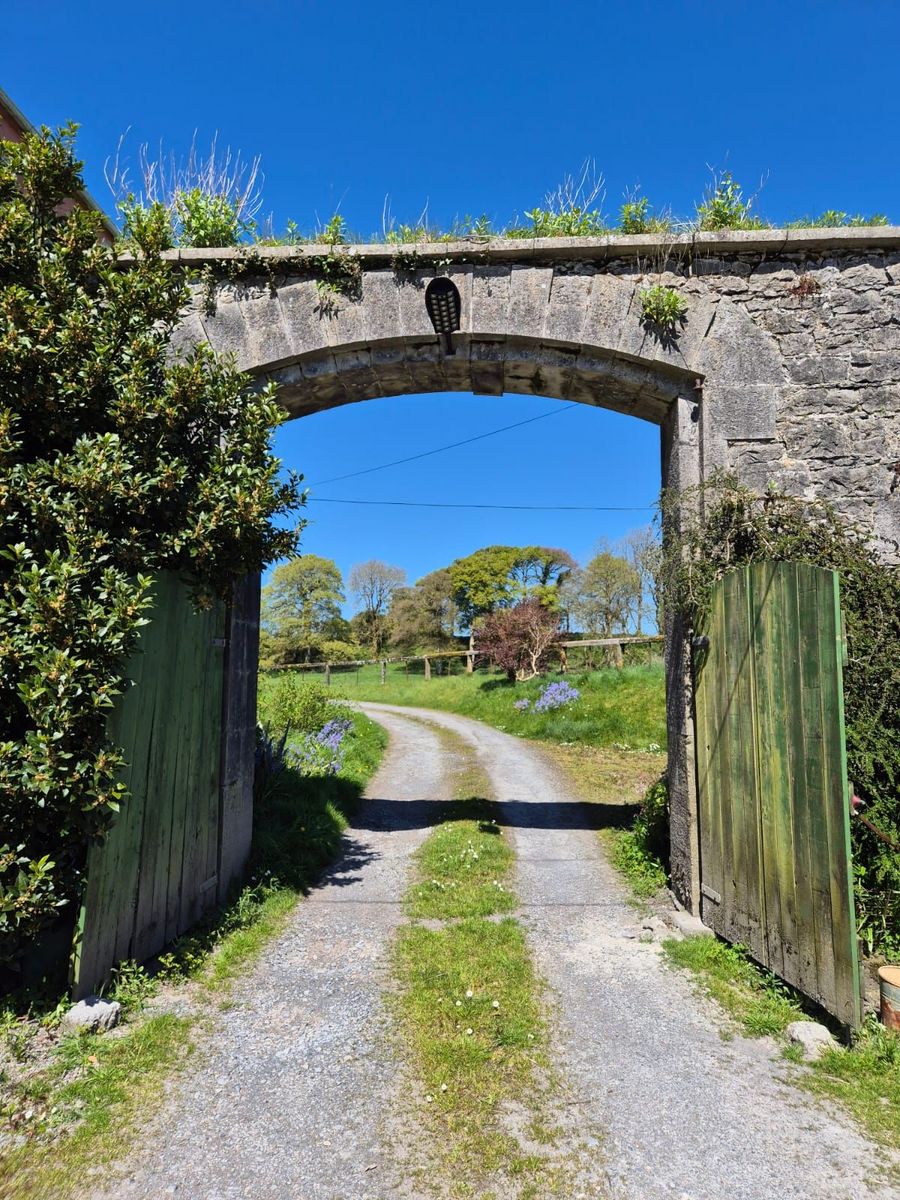 Georgian Estate For Sale: Bermingham House, Bermingham, Tuam, Co. Galway Georgian Estate For Sale: Bermingham House, Bermingham, Tuam, Co. Galway