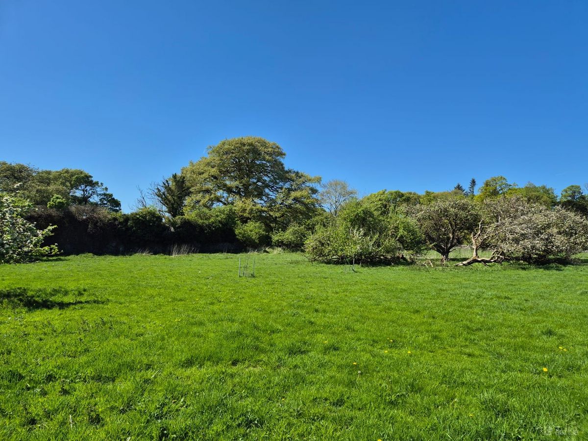 Georgian Estate For Sale: Bermingham House, Bermingham, Tuam, Co. Galway Georgian Estate For Sale: Bermingham House, Bermingham, Tuam, Co. Galway