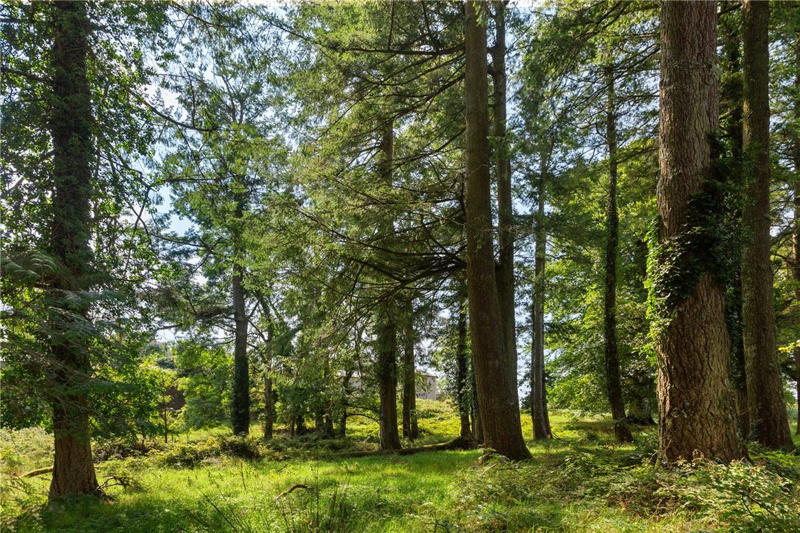 Private Waterfront Estate For Sale: Knockranny Estate, Kilronan, Co. Roscommon