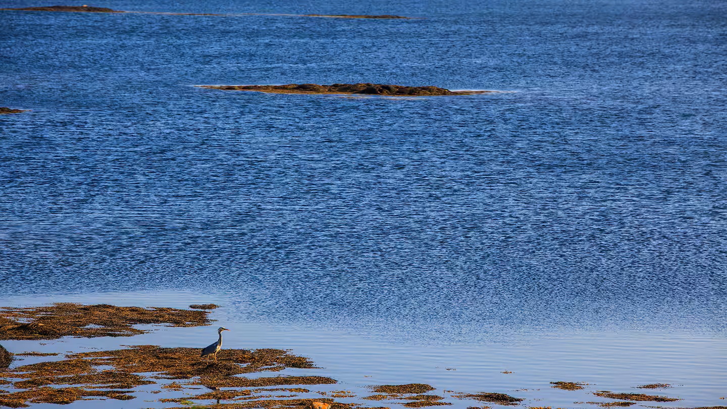 Bayside Cottage, Cashel, Connemara, Co. Galway Bayside Cottage, Cashel, Connemara, Co. Galway