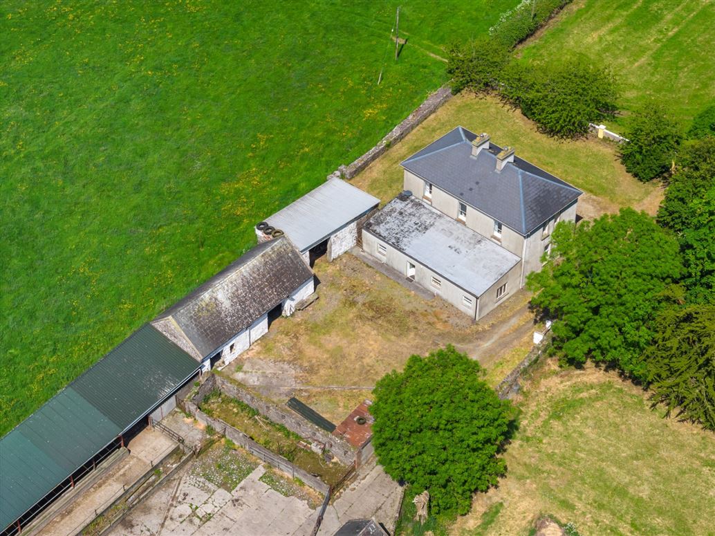 Country Residence and Farm For Sale: Ballynamuddagh House and Farm, Dromin, Kilmallock, Co. Limerick