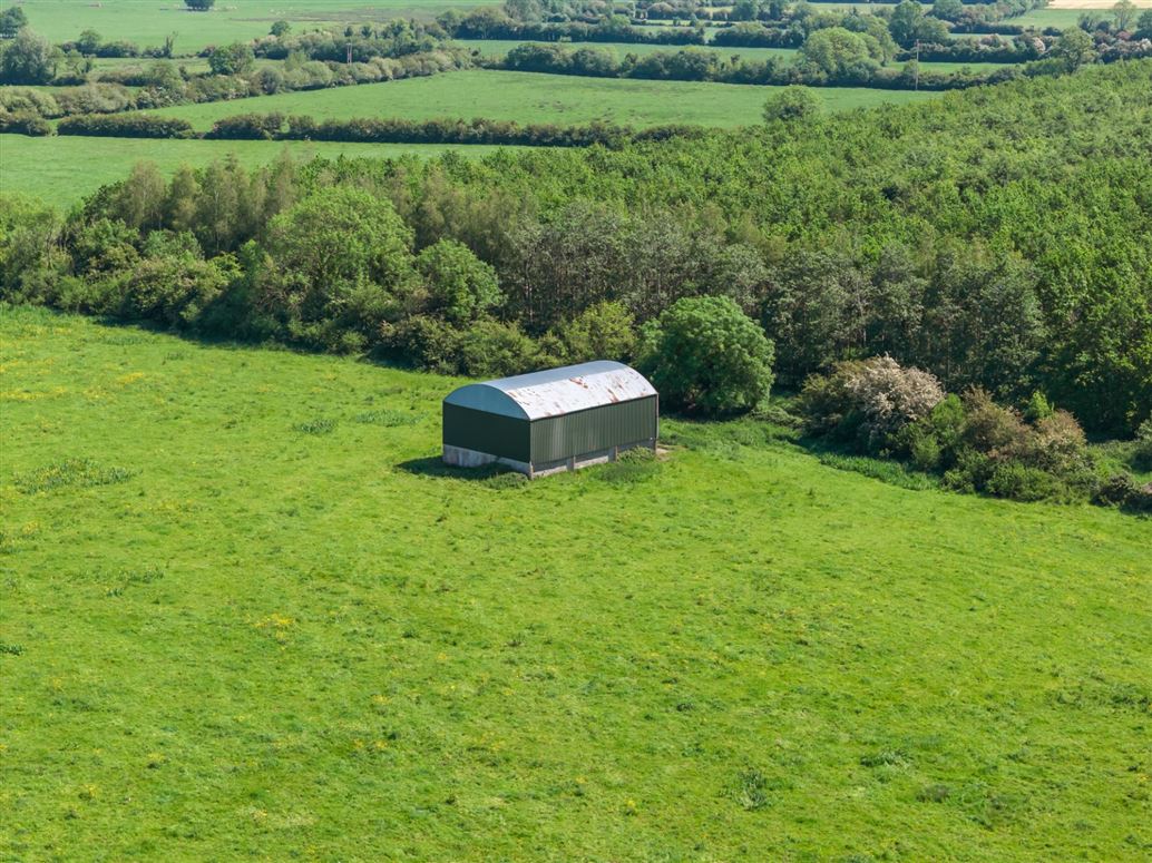 Country Residence and Farm For Sale: Ballynamuddagh House and Farm, Dromin, Kilmallock, Co. Limerick