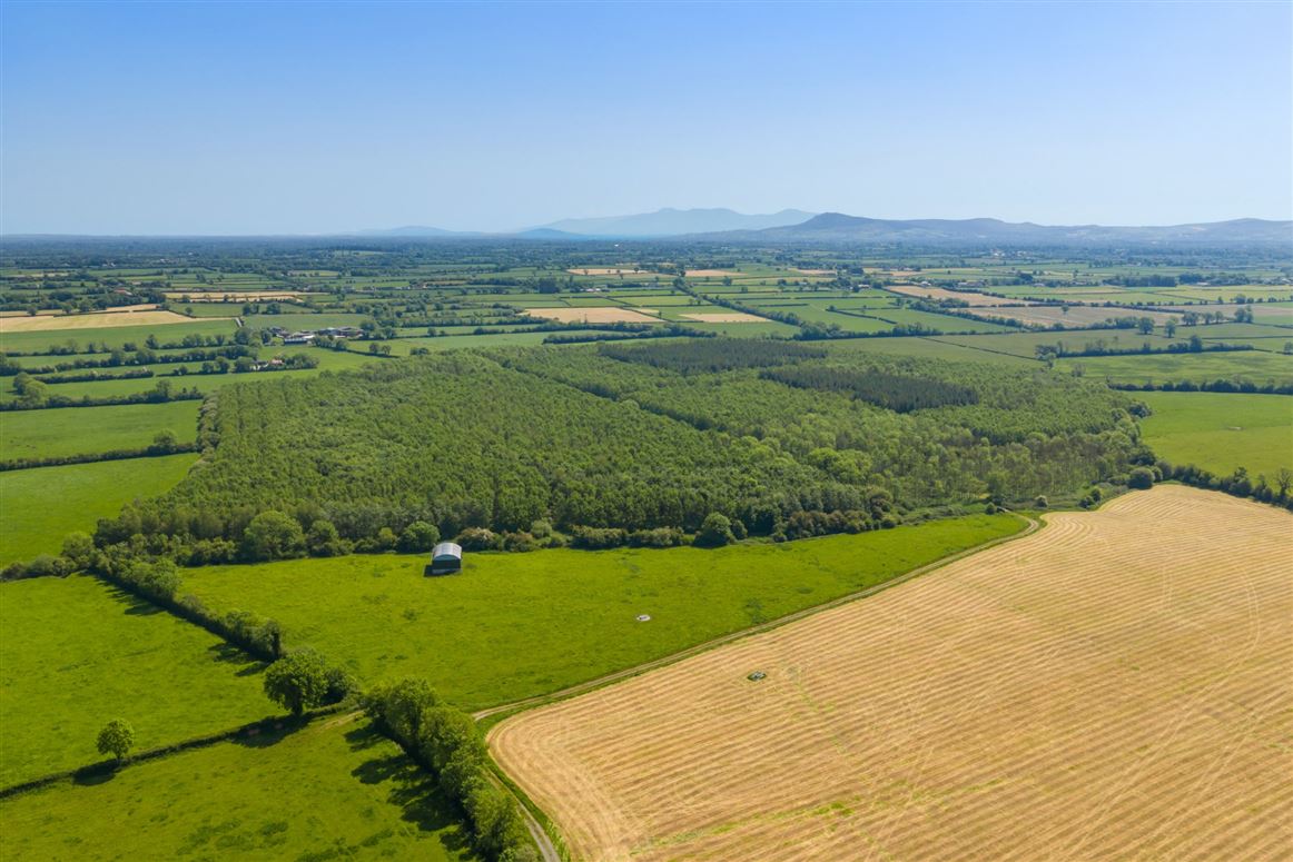Country Residence and Farm For Sale: Ballynamuddagh House and Farm, Dromin, Kilmallock, Co. Limerick