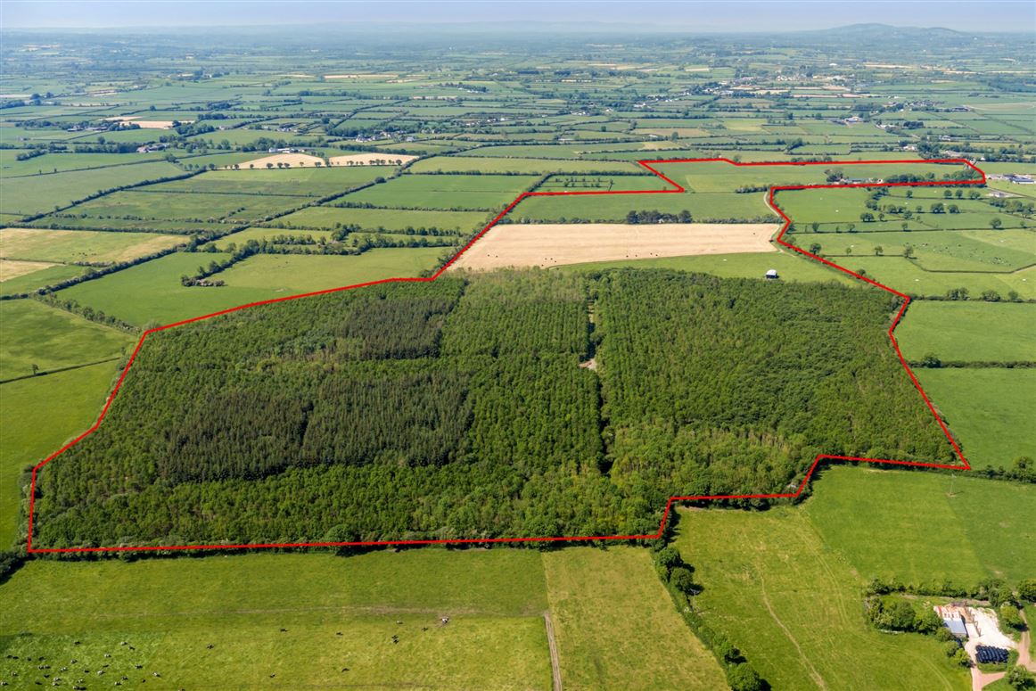 Country Residence and Farm For Sale: Ballynamuddagh House and Farm, Dromin, Kilmallock, Co. Limerick