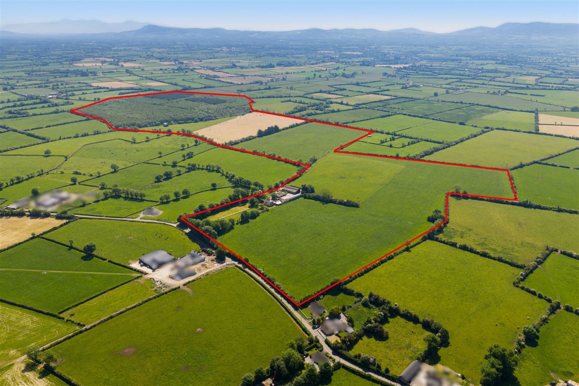 Country Residence and Farm For Sale: Ballynamuddagh House and Farm, Dromin, Kilmallock, Co. Limerick
