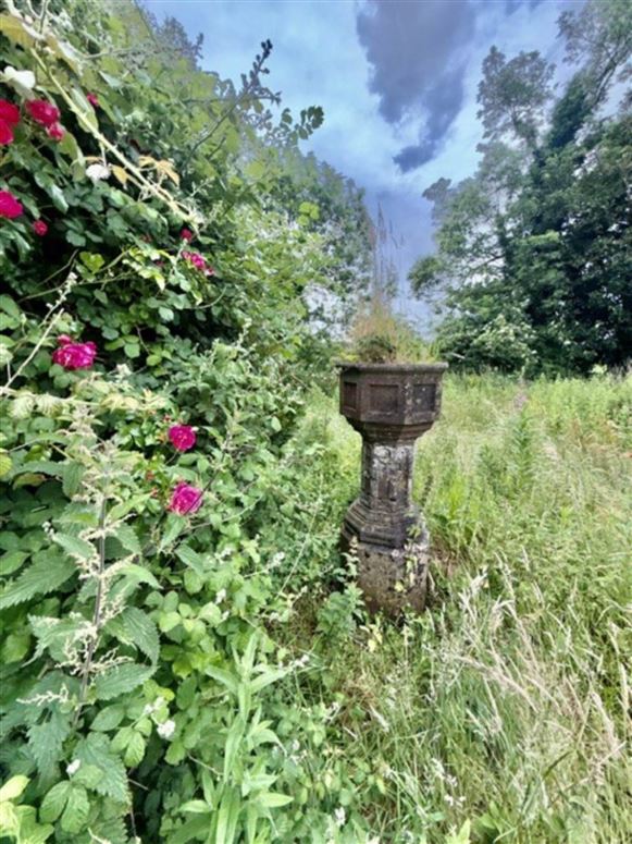 Georgian House For Sale: Castletown House, Cottlestown, Corballa, Sligo, Co. Sligo