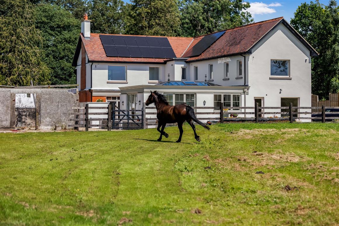 Edwardian Country Residence For Sale: Cherryfield Lodge, Ballysax, Curragh, Co. Kildare
