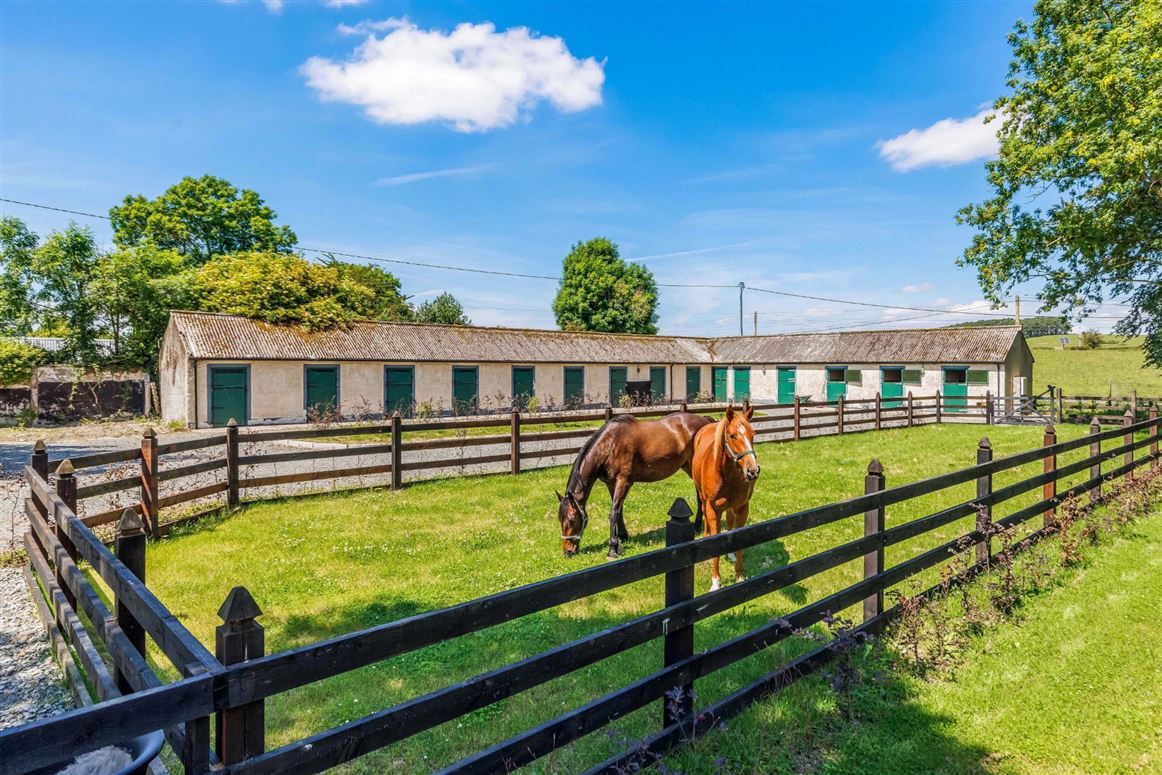 Edwardian Country Residence For Sale: Cherryfield Lodge, Ballysax, Curragh, Co. Kildare