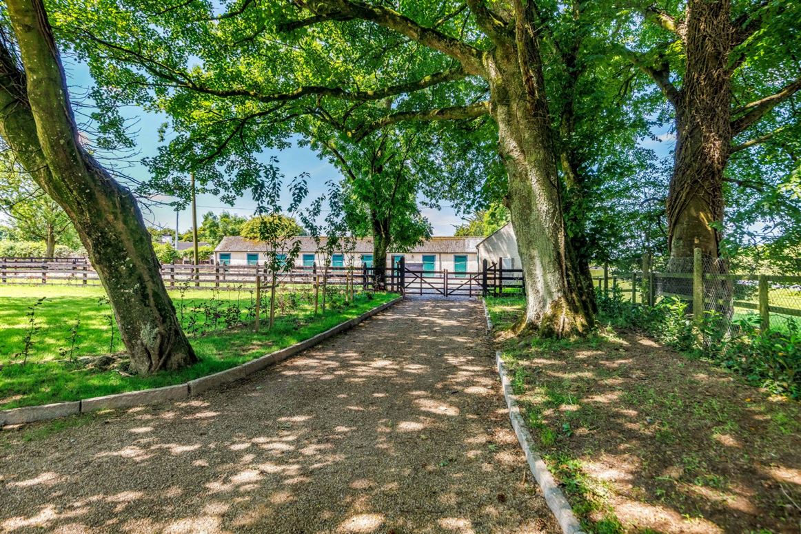Edwardian Country Residence For Sale: Cherryfield Lodge, Ballysax, Curragh, Co. Kildare
