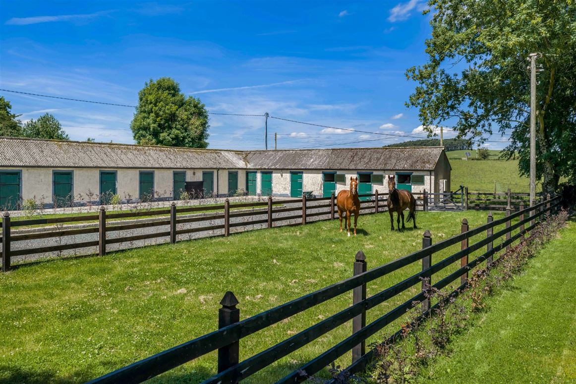 Edwardian Country Residence For Sale: Cherryfield Lodge, Ballysax, Curragh, Co. Kildare