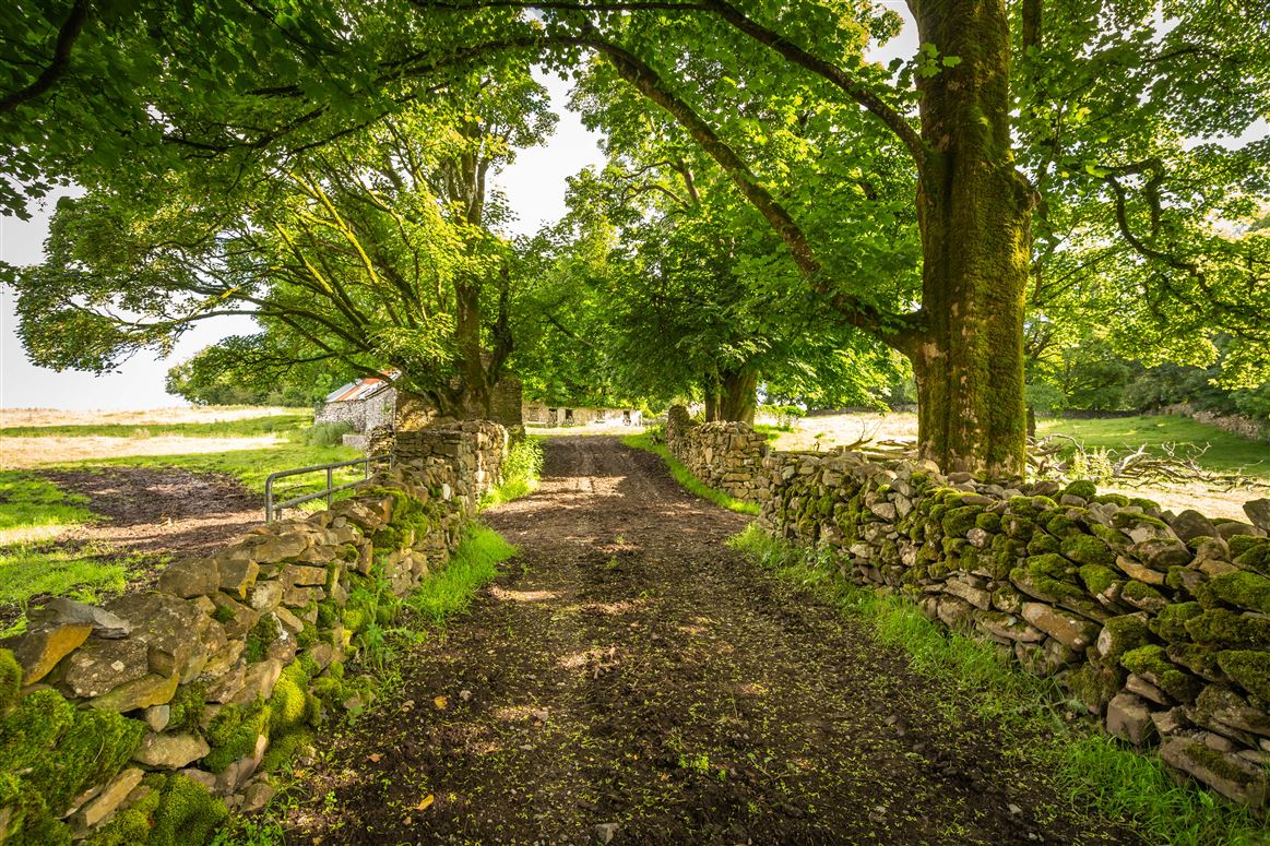 Historic Farmhouse For Sale: Crosseast House, Cross, Co. Mayo