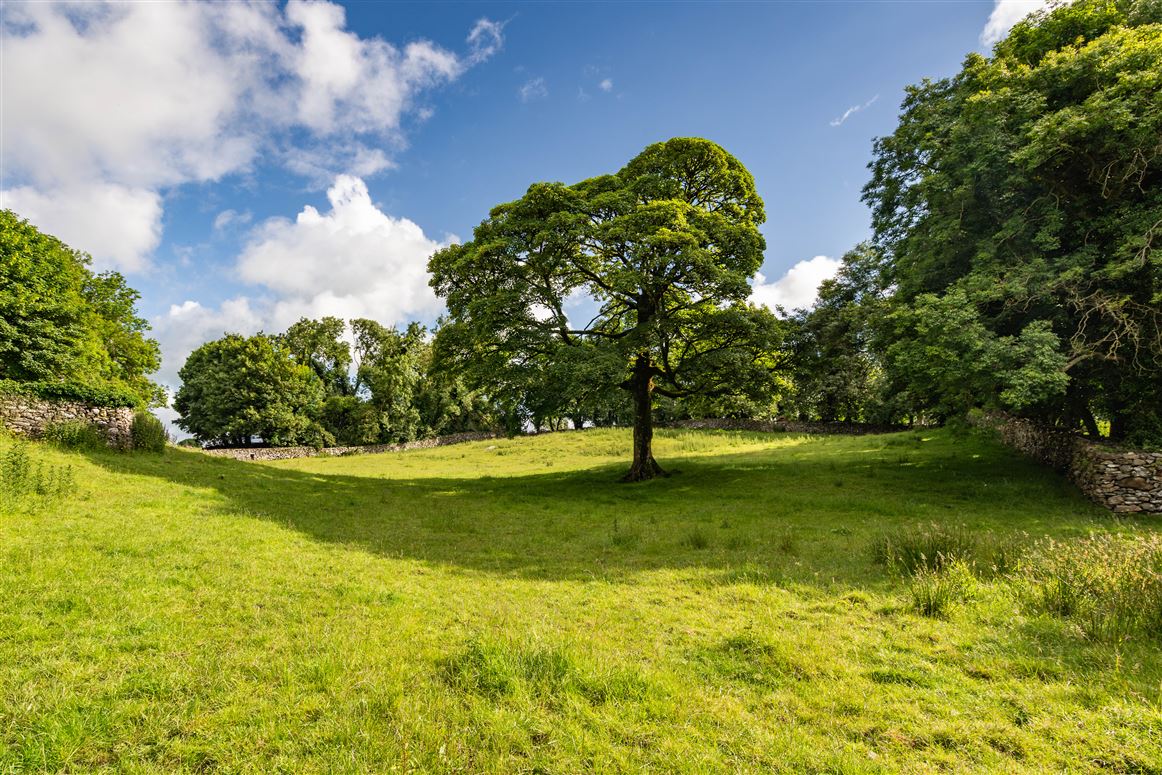 Historic Farmhouse For Sale: Crosseast House, Cross, Co. Mayo