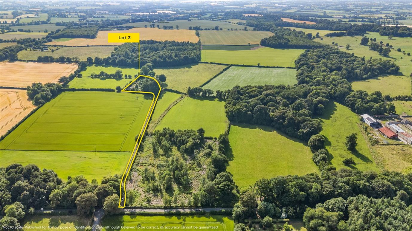 Period Cottage For Sale: Gatekeeper's Cottage, Lisnavagh, Co. Carlow