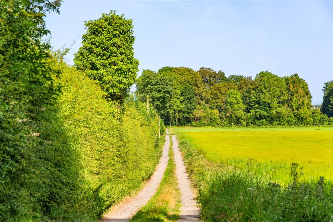 Period Cottage For Sale: Gatekeeper's Cottage, Lisnavagh, Co. Carlow