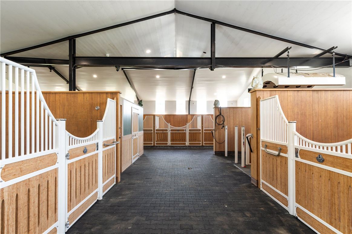 Equestrian Property For Sale: Hallowberry Lodge, Ballingate, Carnew, Co. Wicklow