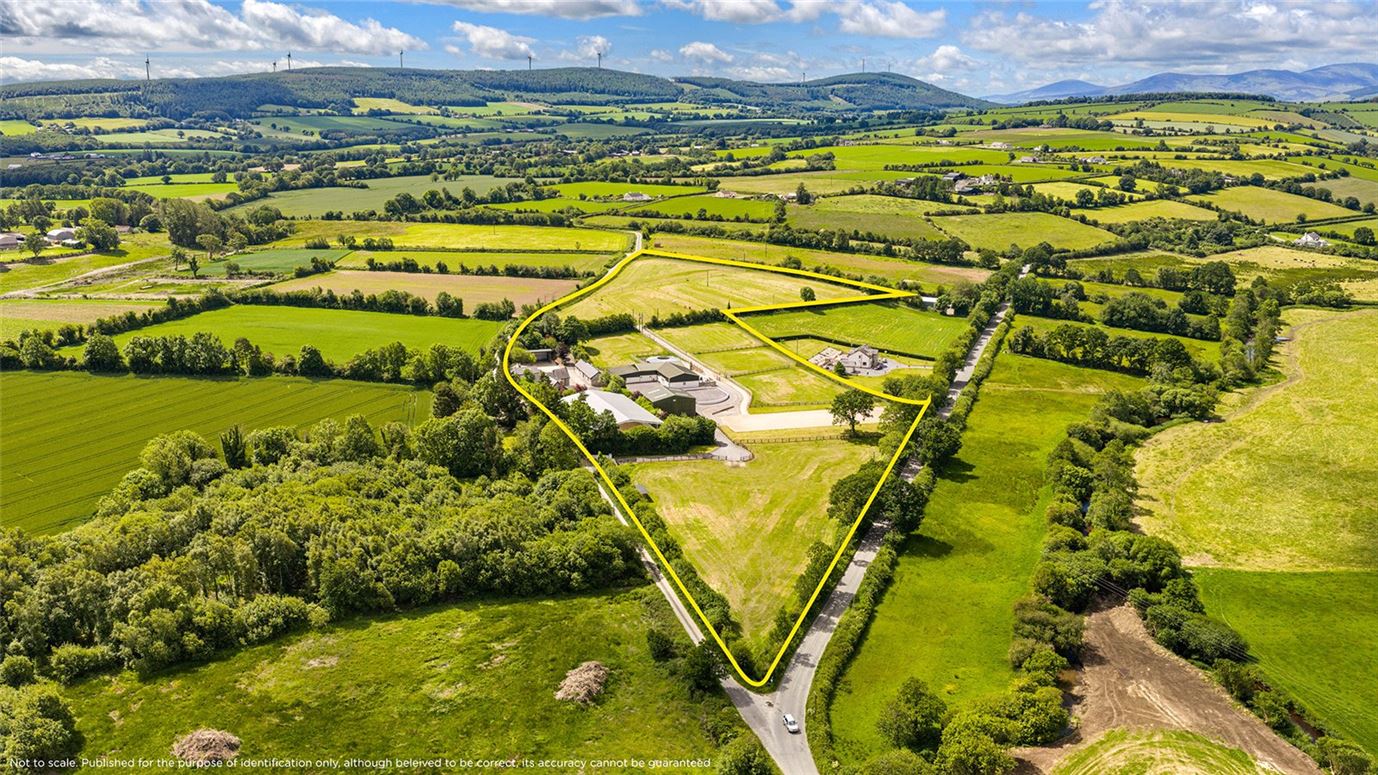 Equestrian Property For Sale: Hallowberry Lodge, Ballingate, Carnew, Co. Wicklow