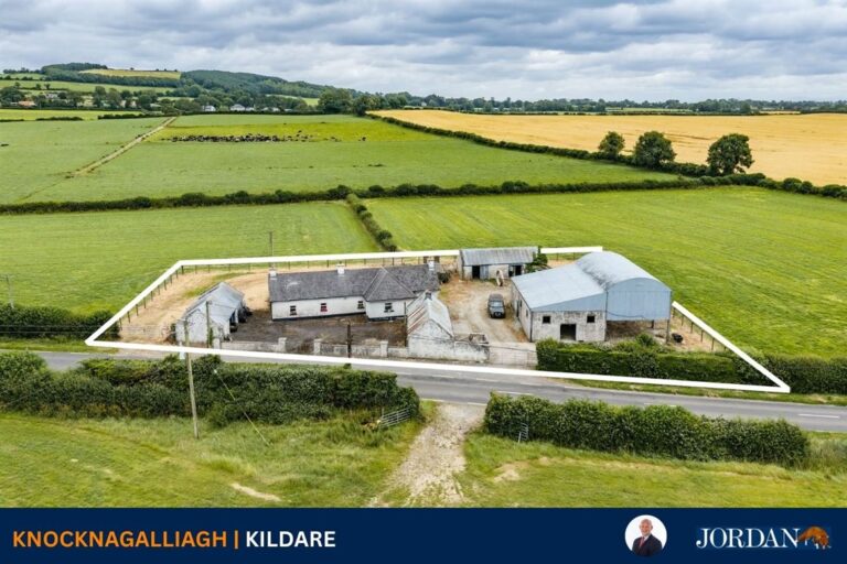 Knocknagalliagh, Kildare, Co. Kildare, R51 V741