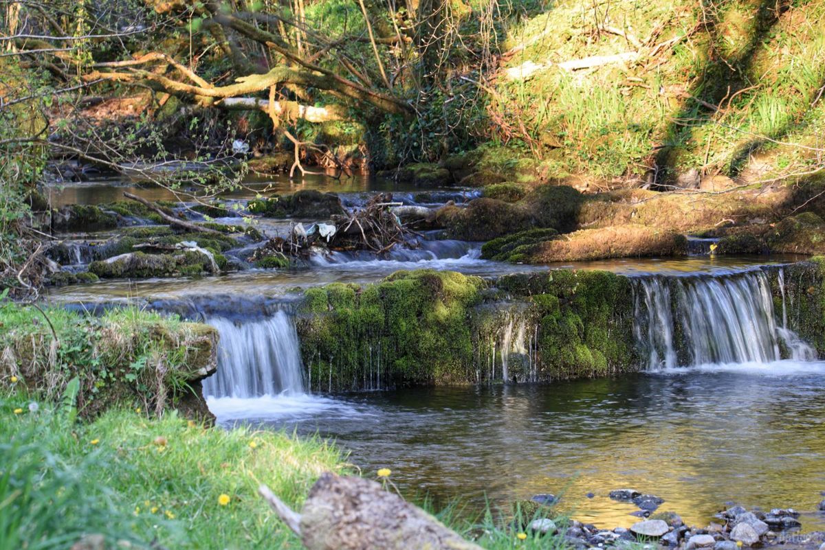 Historic Estate For Sale: Oatlands, Bonniconlon, Bunnyconnellan, Co. Mayo