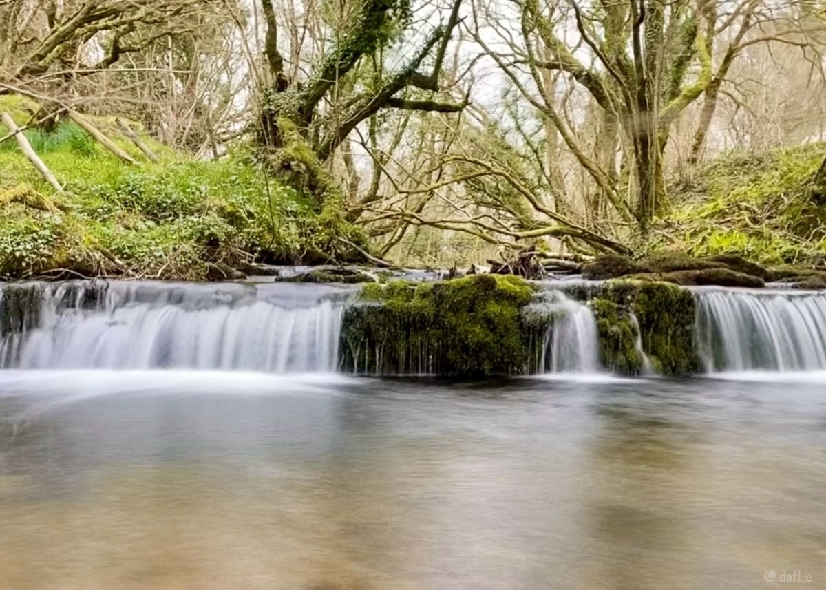 Historic Estate For Sale: Oatlands, Bonniconlon, Bunnyconnellan, Co. Mayo