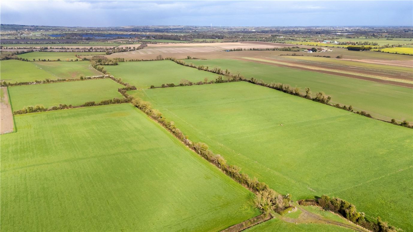 Tillage and Livestock Farm For Sale: Skidoo Farm, Skidoo, Ballyboughal, Co. Dublin