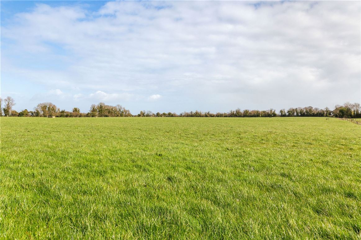 Tillage and Livestock Farm For Sale: Skidoo Farm, Skidoo, Ballyboughal, Co. Dublin