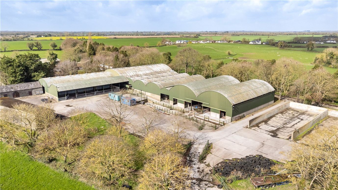 Tillage and Livestock Farm For Sale: Skidoo Farm, Skidoo, Ballyboughal, Co. Dublin