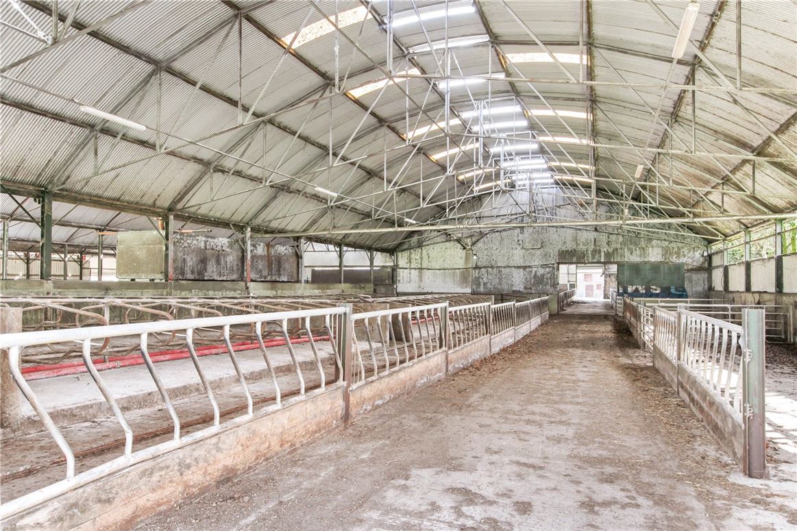 Tillage and Livestock Farm For Sale: Skidoo Farm, Skidoo, Ballyboughal, Co. Dublin