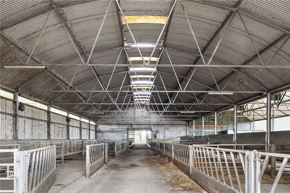 Tillage and Livestock Farm For Sale: Skidoo Farm, Skidoo, Ballyboughal, Co. Dublin