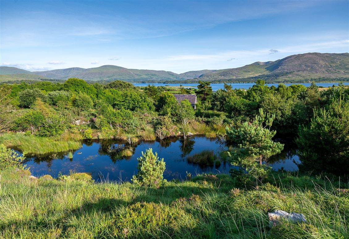 Unique Cottage For Sale: Spyglass Hill, Loughaunacreen, Kilmakillouge, Kenmare, Co. Kerry