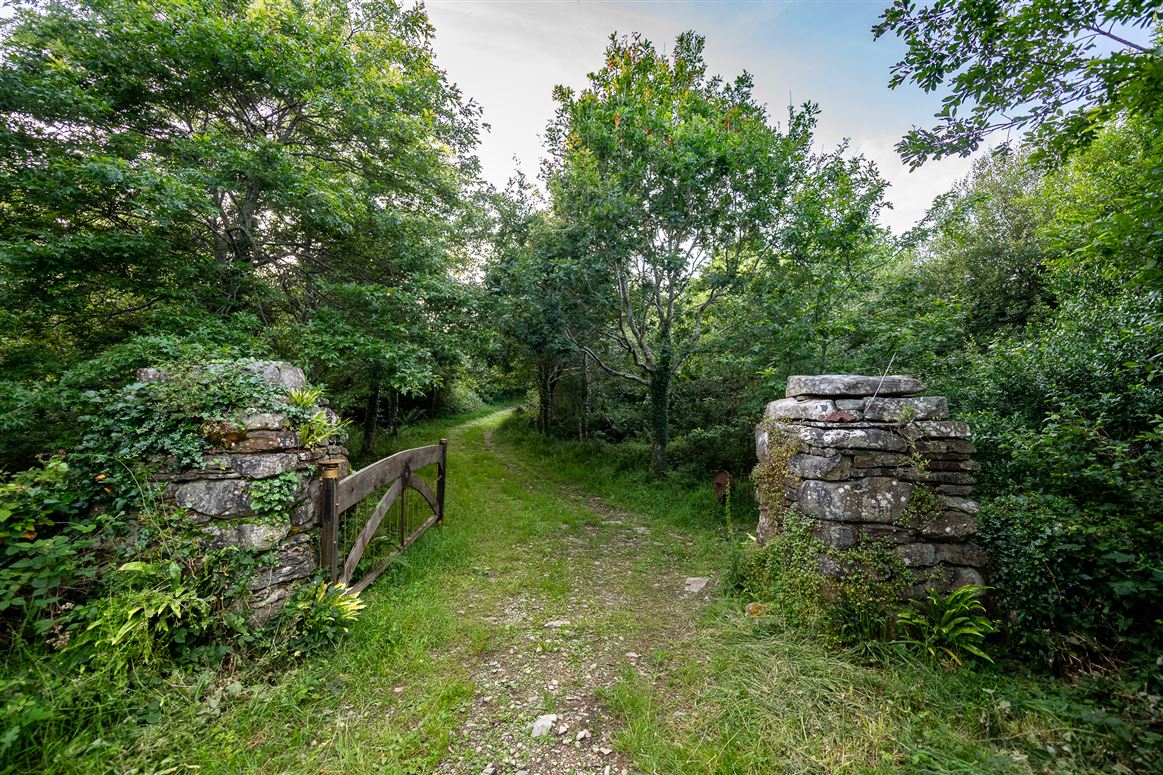 Unique Cottage For Sale: Spyglass Hill, Loughaunacreen, Kilmakillouge, Kenmare, Co. Kerry