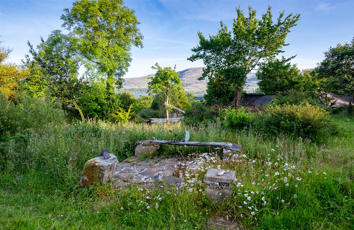 Unique Cottage For Sale: Spyglass Hill, Loughaunacreen, Kilmakillouge, Kenmare, Co. Kerry