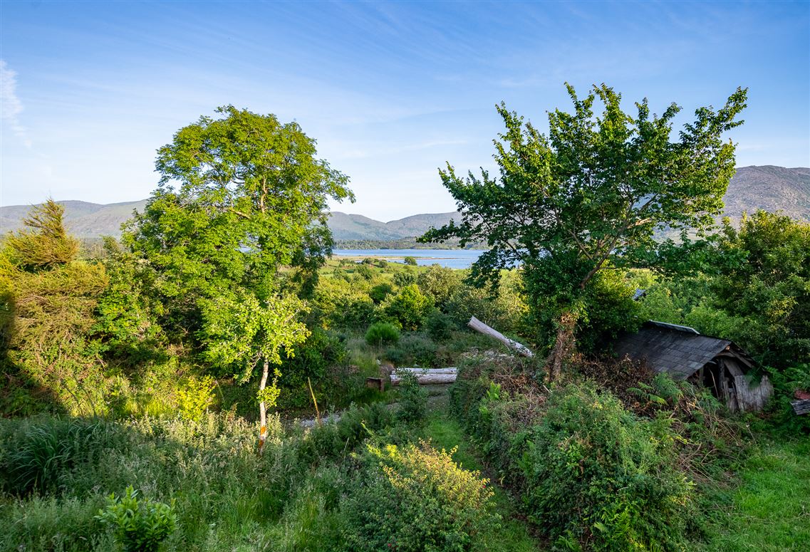 Unique Cottage For Sale: Spyglass Hill, Loughaunacreen, Kilmakillouge, Kenmare, Co. Kerry