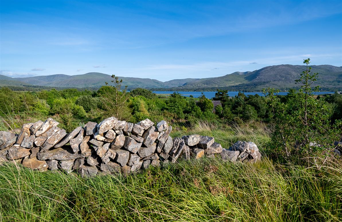 Unique Cottage For Sale: Spyglass Hill, Loughaunacreen, Kilmakillouge, Kenmare, Co. Kerry