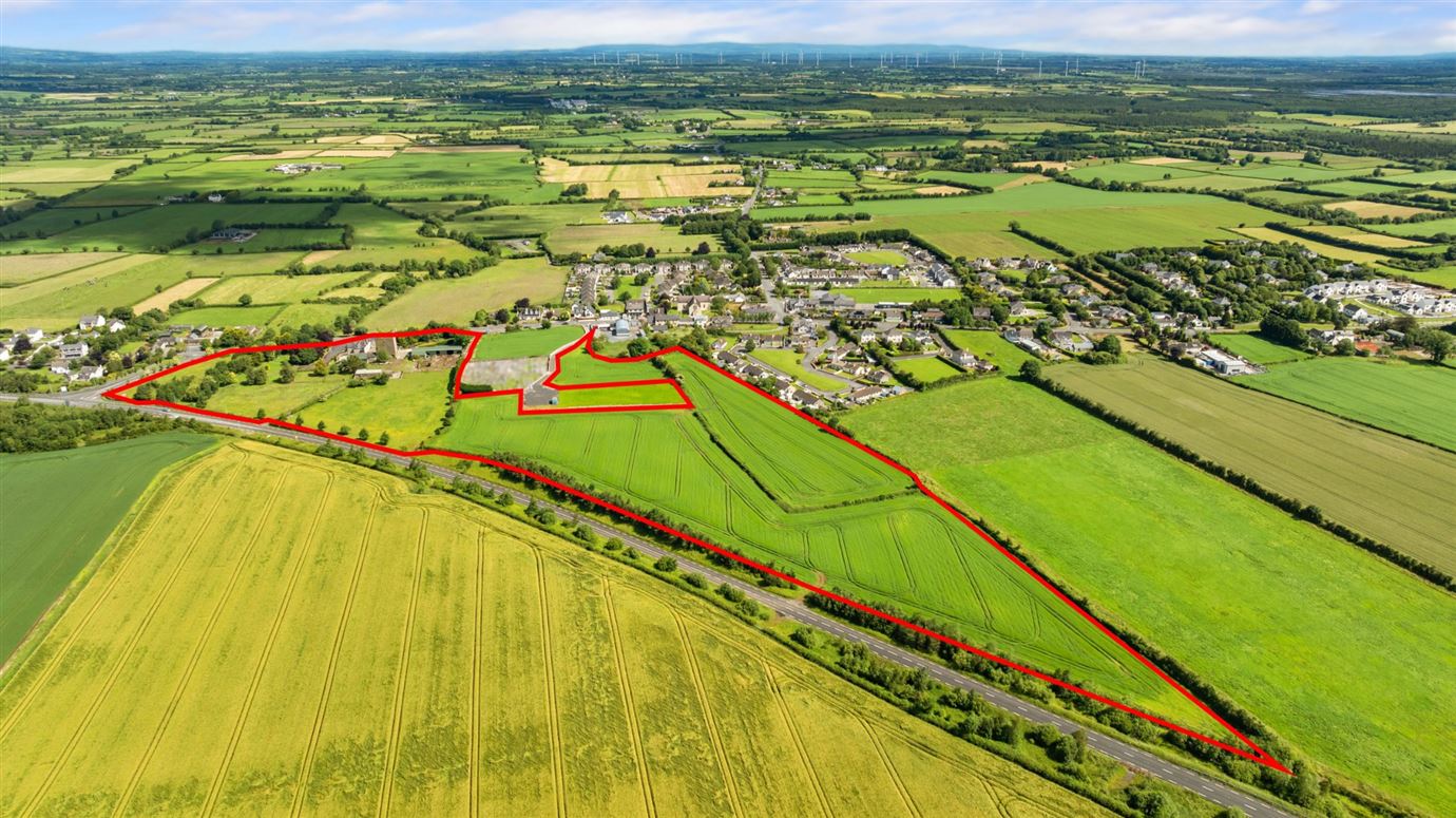 Country Residence For Sale: The Castle Country House, Two-Mile Borris, Thurles, Co. Tipperary