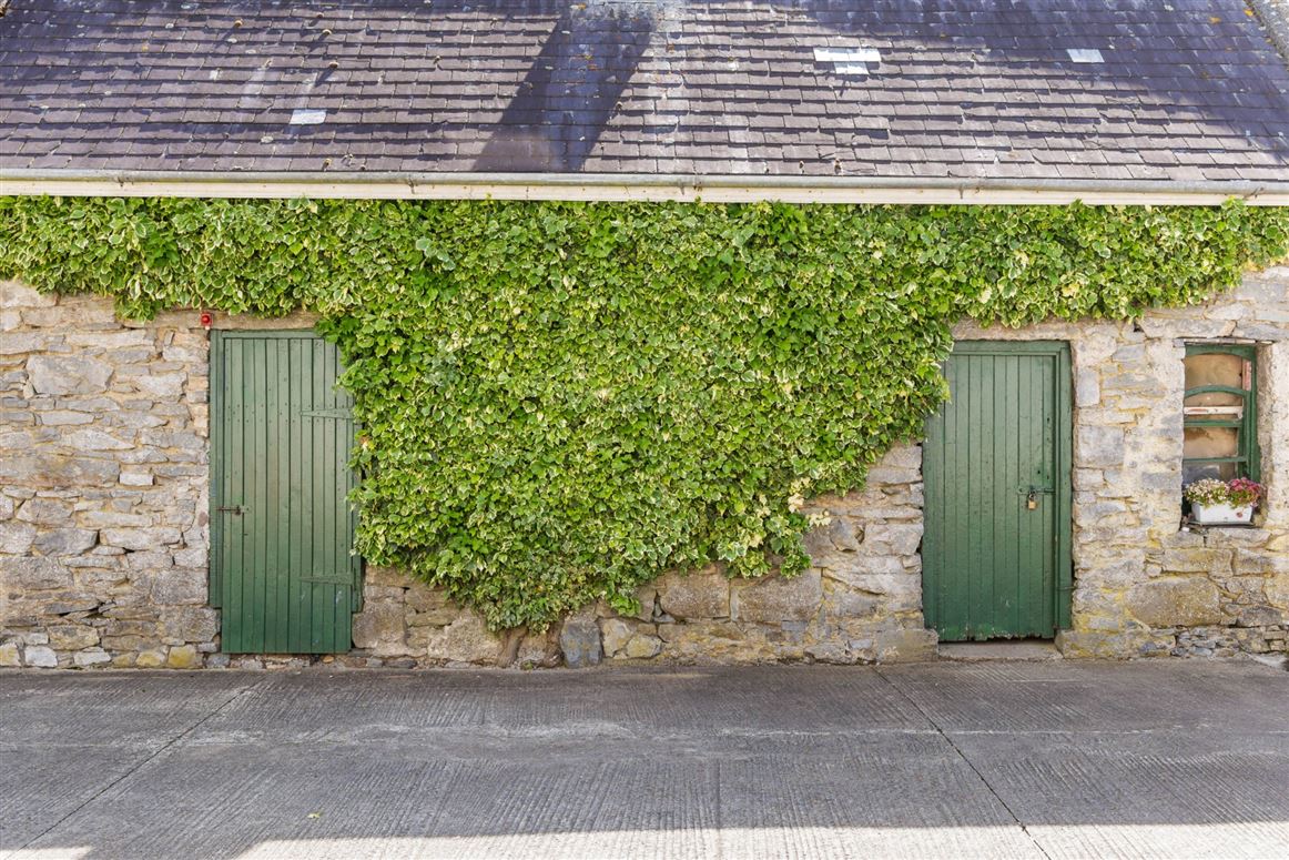 Country Residence For Sale: The Castle Country House, Two-Mile Borris, Thurles, Co. Tipperary