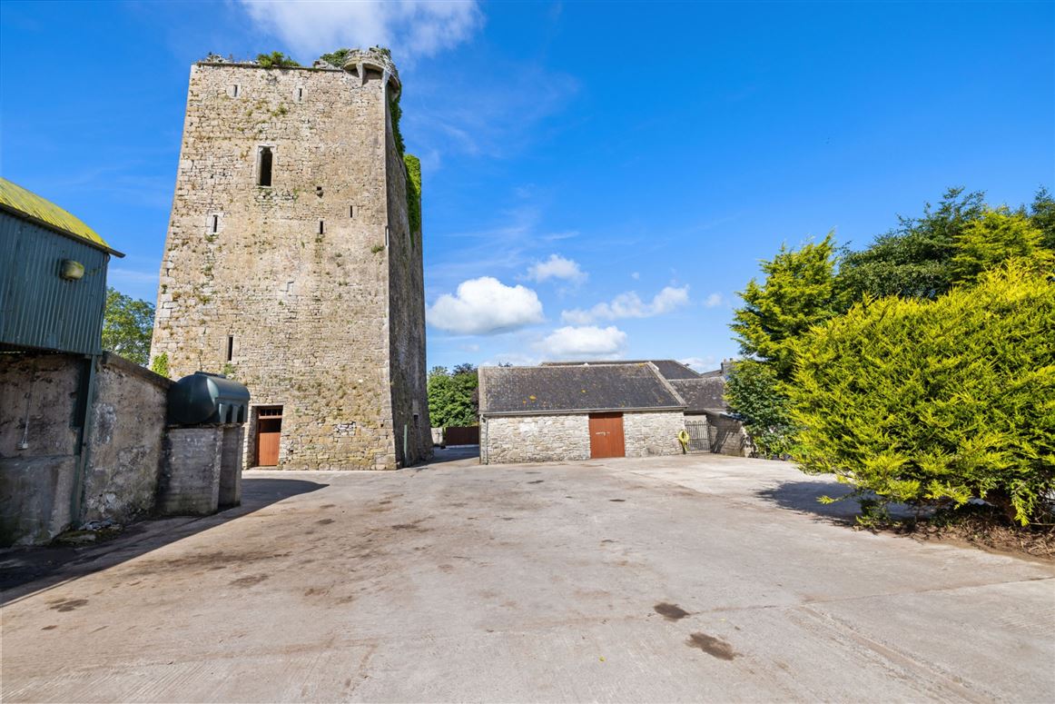 Country Residence For Sale: The Castle Country House, Two-Mile Borris, Thurles, Co. Tipperary