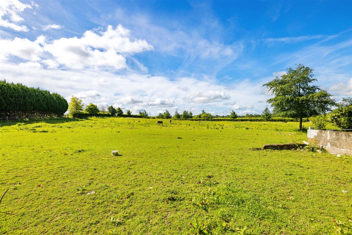 Country Residence For Sale: The Castle Country House, Two-Mile Borris, Thurles, Co. Tipperary