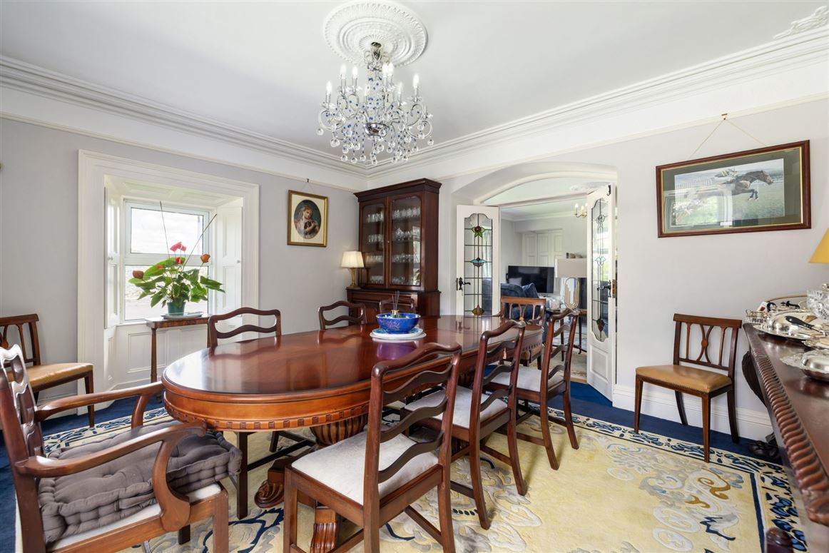 Country Residence For Sale: The Castle Country House, Two-Mile Borris, Thurles, Co. Tipperary